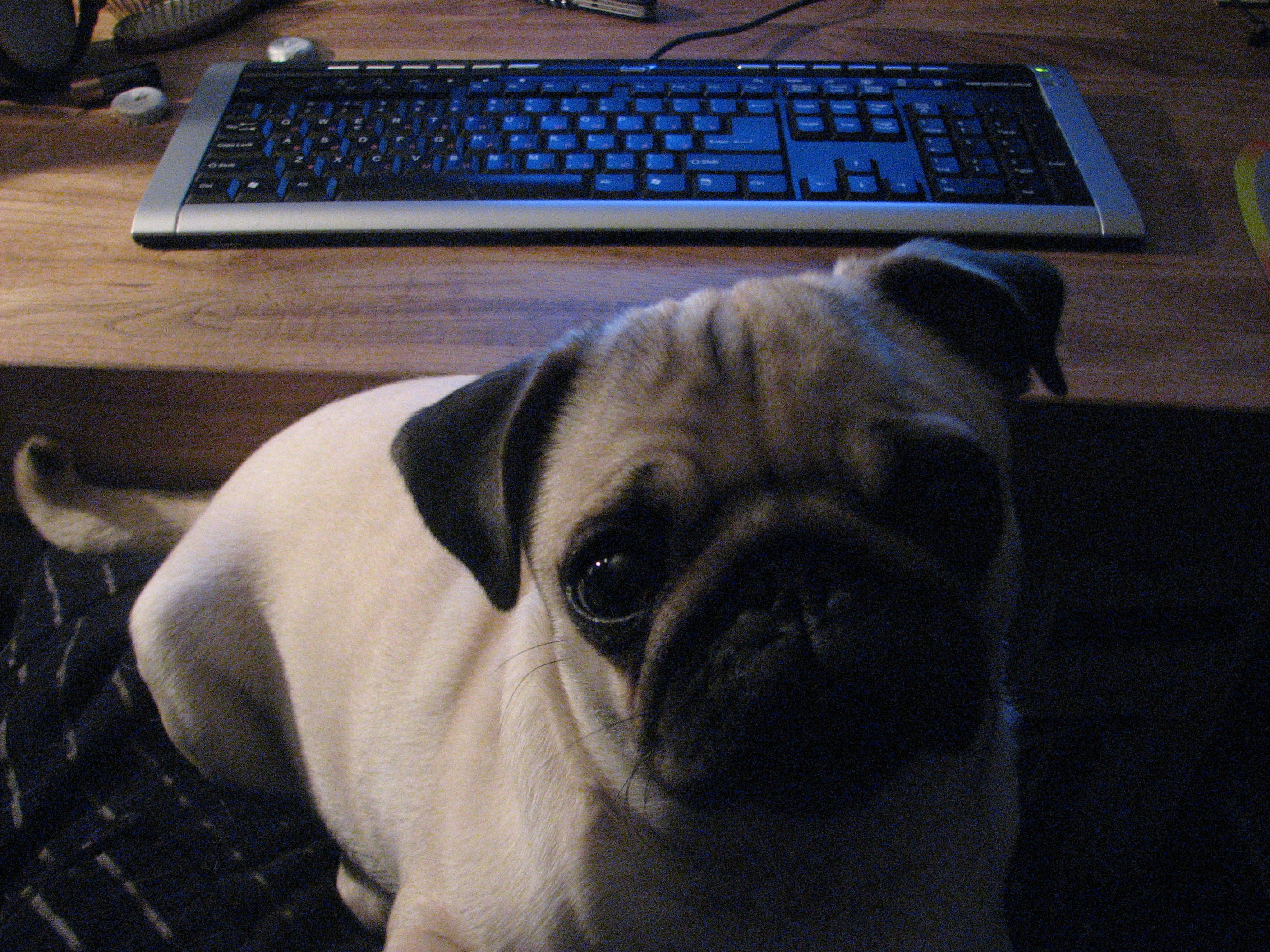 A plan to make Australia make gadgets again, Nvidia's doing everything and Atlassian's 'rich jerk' sacking