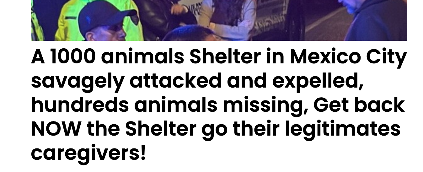Animal Actions - Save Shelter Animals From Violence