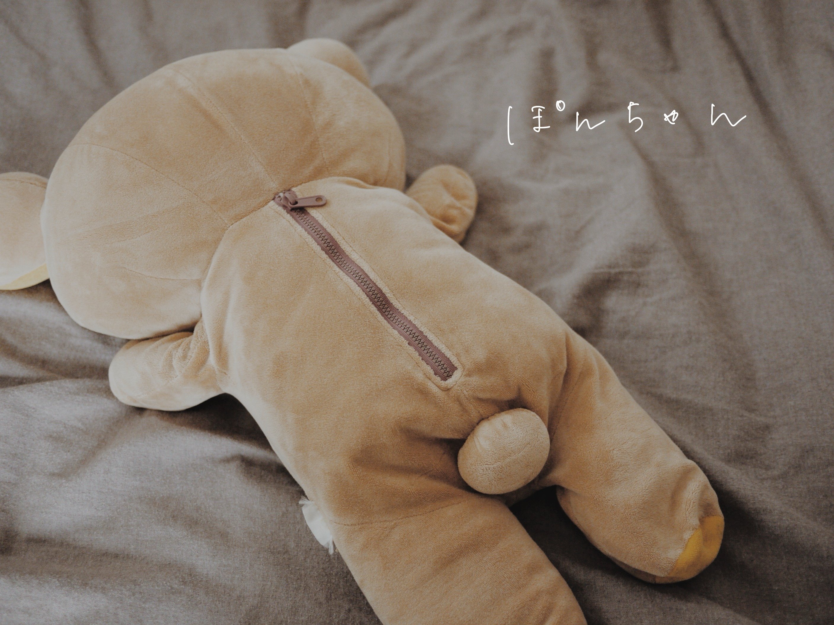 ぽんちゃん / 目をぱちぱちする遊び