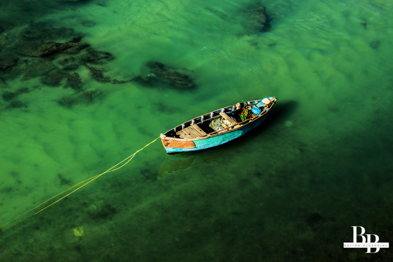 The Better Blueprint- Special Edition