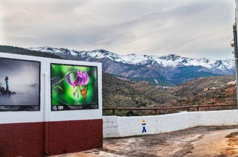 ALBA: el arte libre y solidario que nace en las calles de un pueblo