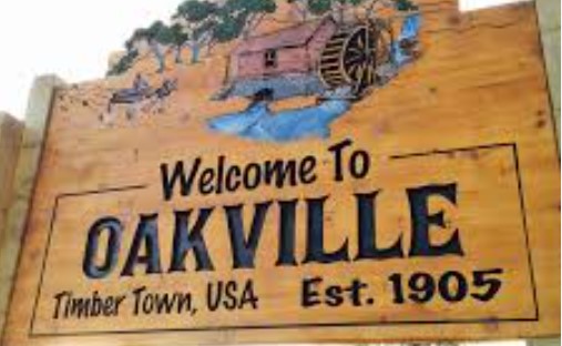 The Day It Rained Blobs of Goo