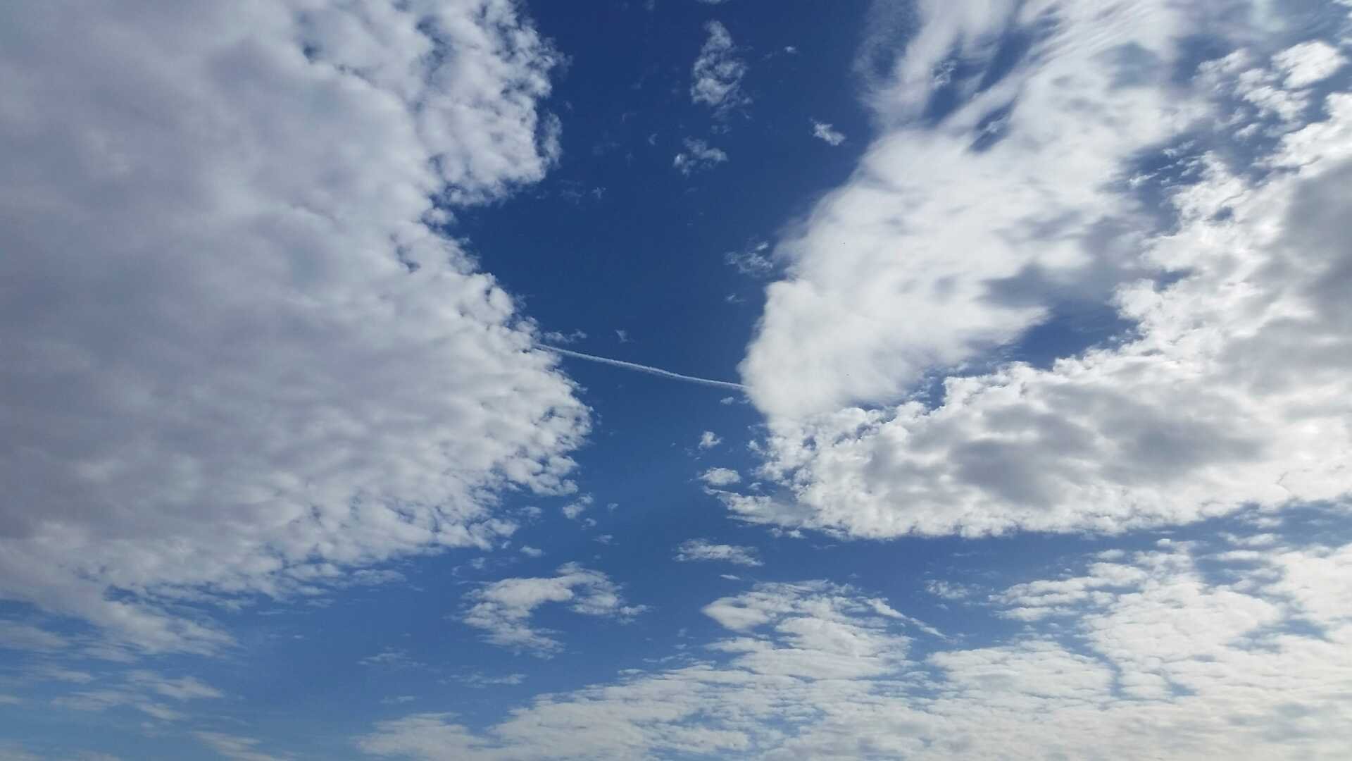 THE ORACLE: Excerpt from Agrippa Petronius (audiobook)