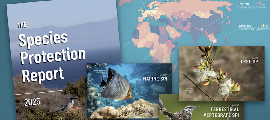 2025 Wildlife Report, yogurt data, muscle-brain