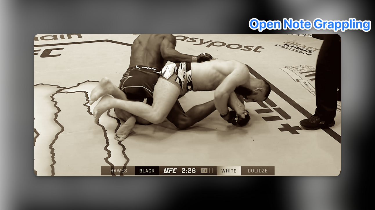 How To Win With Sport Jiujitsu In The UFC