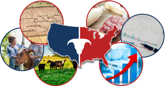 CATTLEUSA DRIVE - Tuesday, February 17th