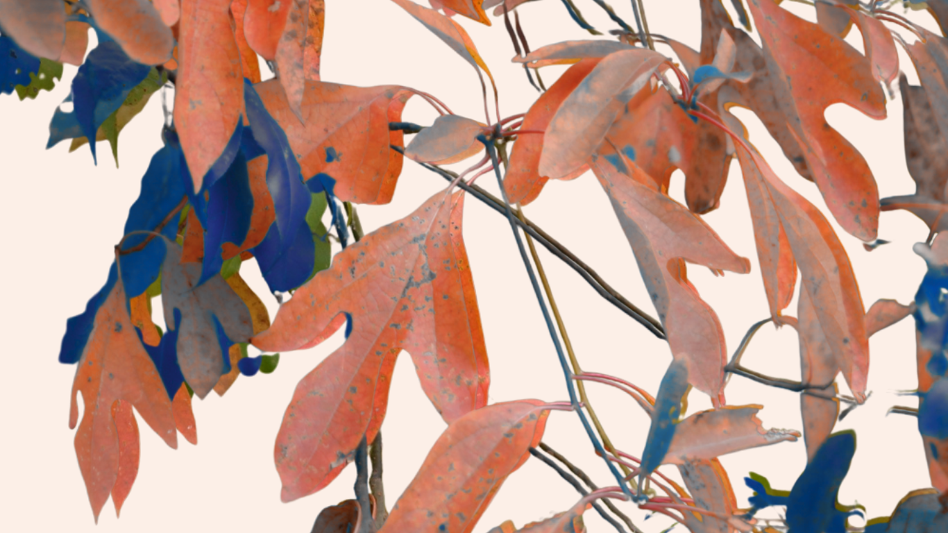 OCTOBER INTUITIVE FORECAST