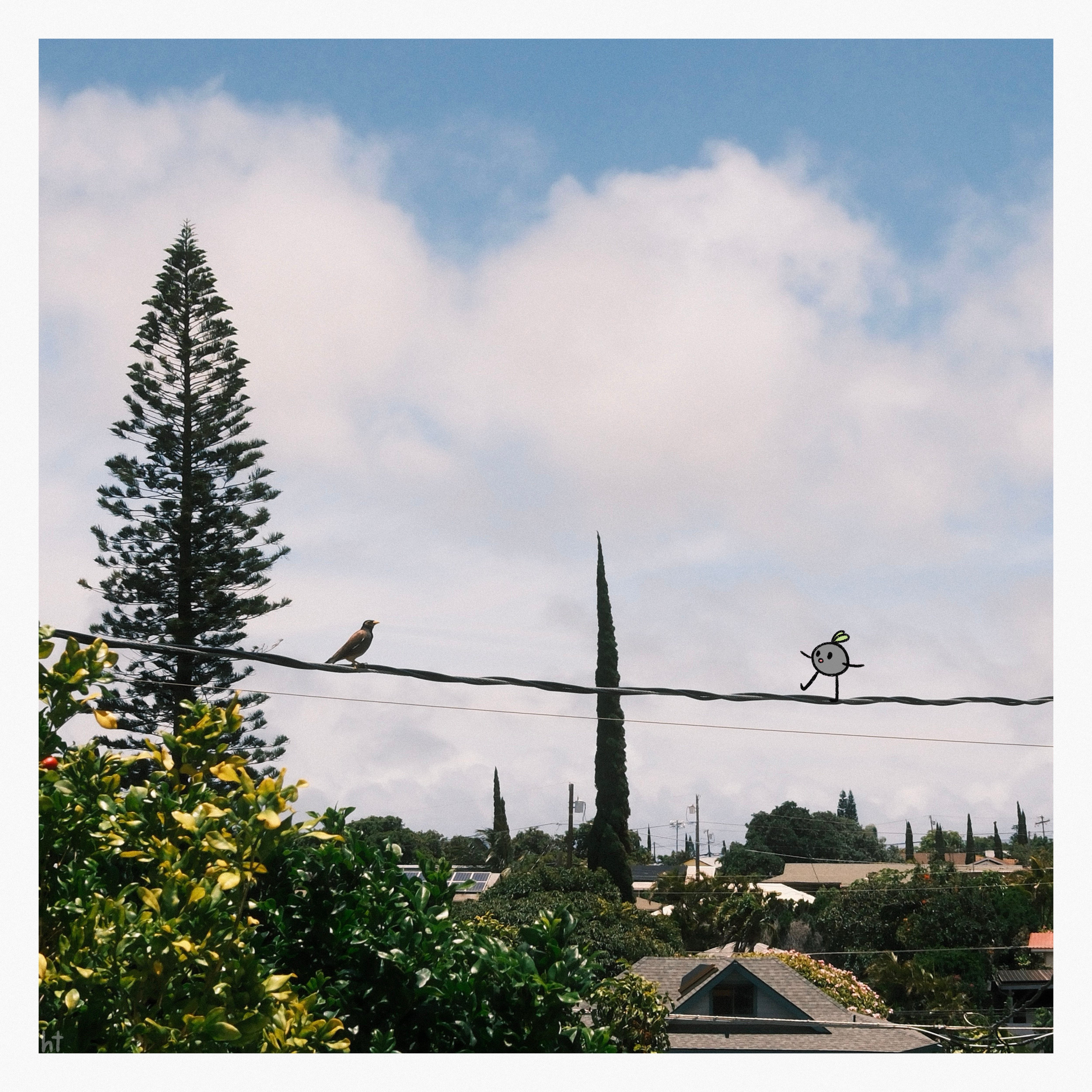 Good Morning! -- pebble prose