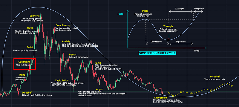 Bull Run 2025 Over? Or Another Trap?