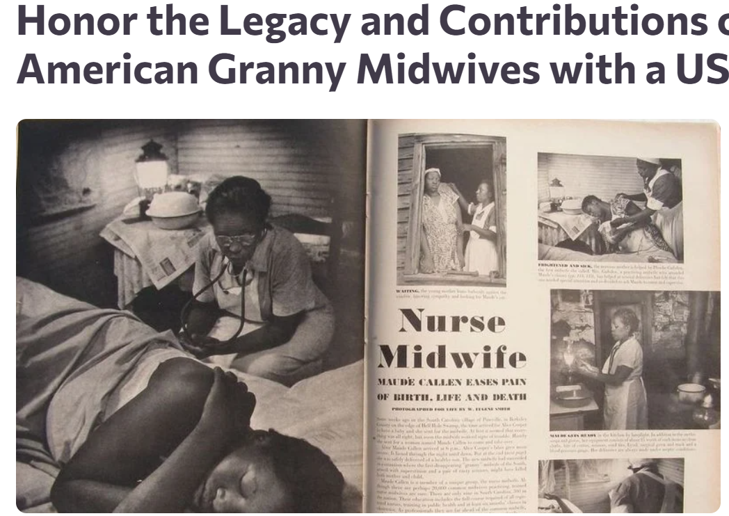 Summer 2025 - Notes from Nzingha & opportunities from Community