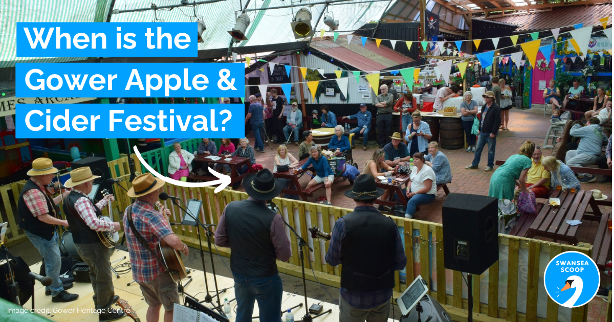 Gower Apple & Cider Festival All Weekend! 🍎🍻