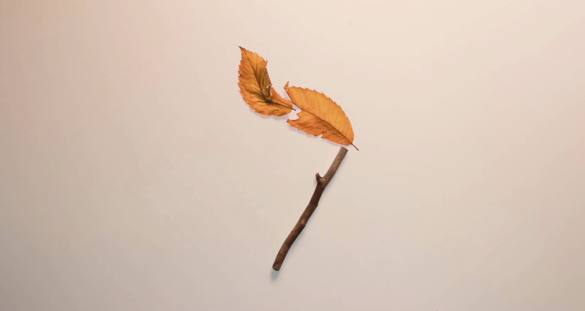 Stickmatch, a Charming Stop Motion Short