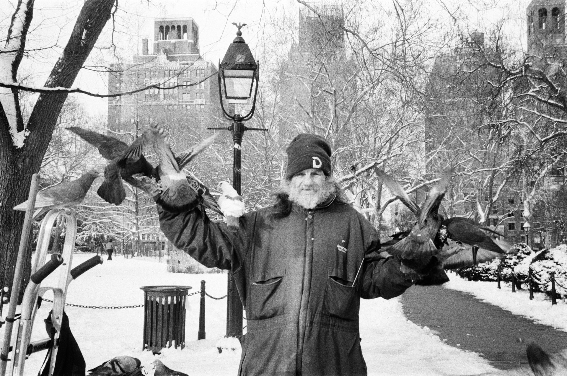 Season’s Greetings from Washington Square Park