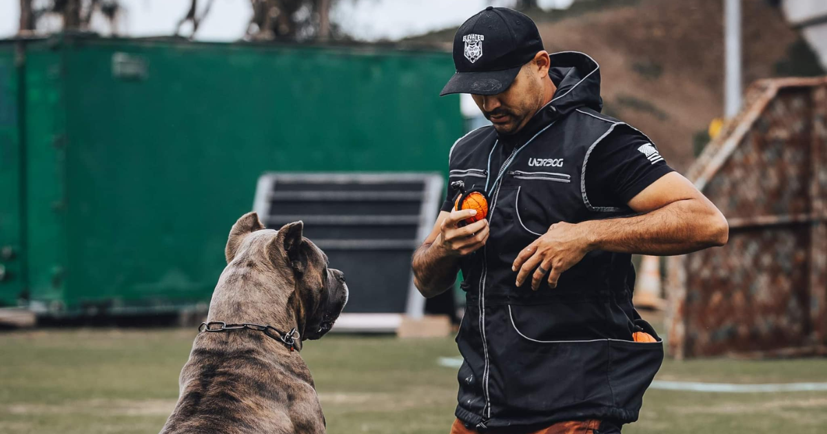 The One Command That Makes Your Dog Easier to Live With