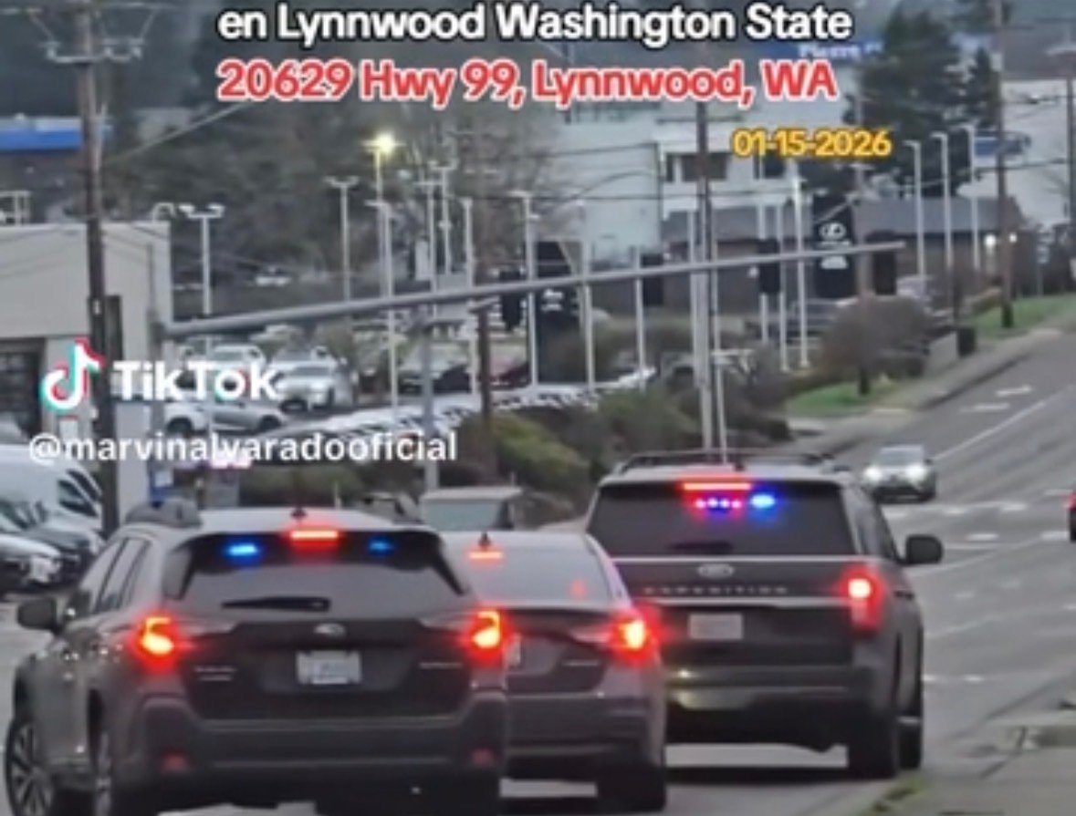 ICE in Mountlake Terrace: What You Can Do