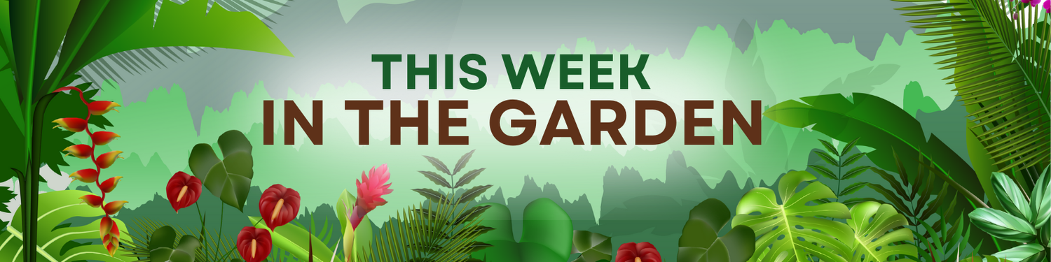 Coming up In The Garden