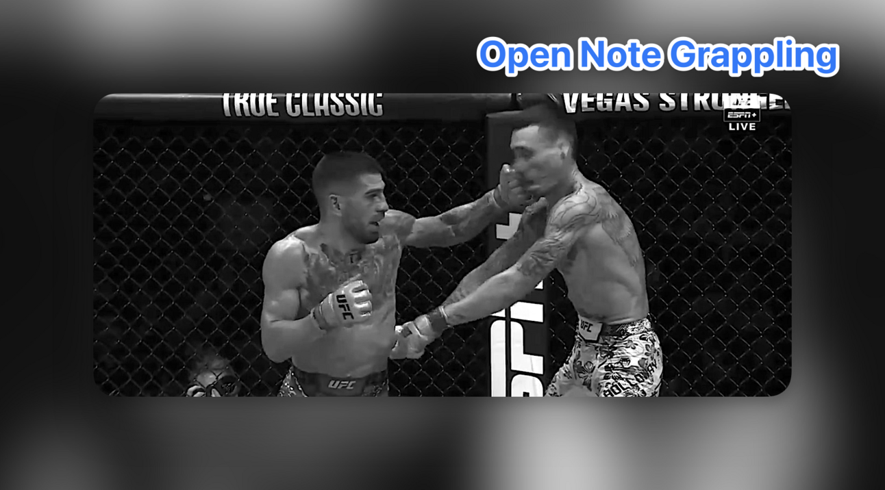 UFC 308's Violent Changing Of The Guard