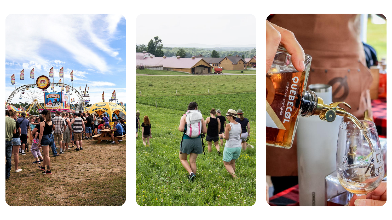 🦫 From farm fields to community tables — this week in the Townships