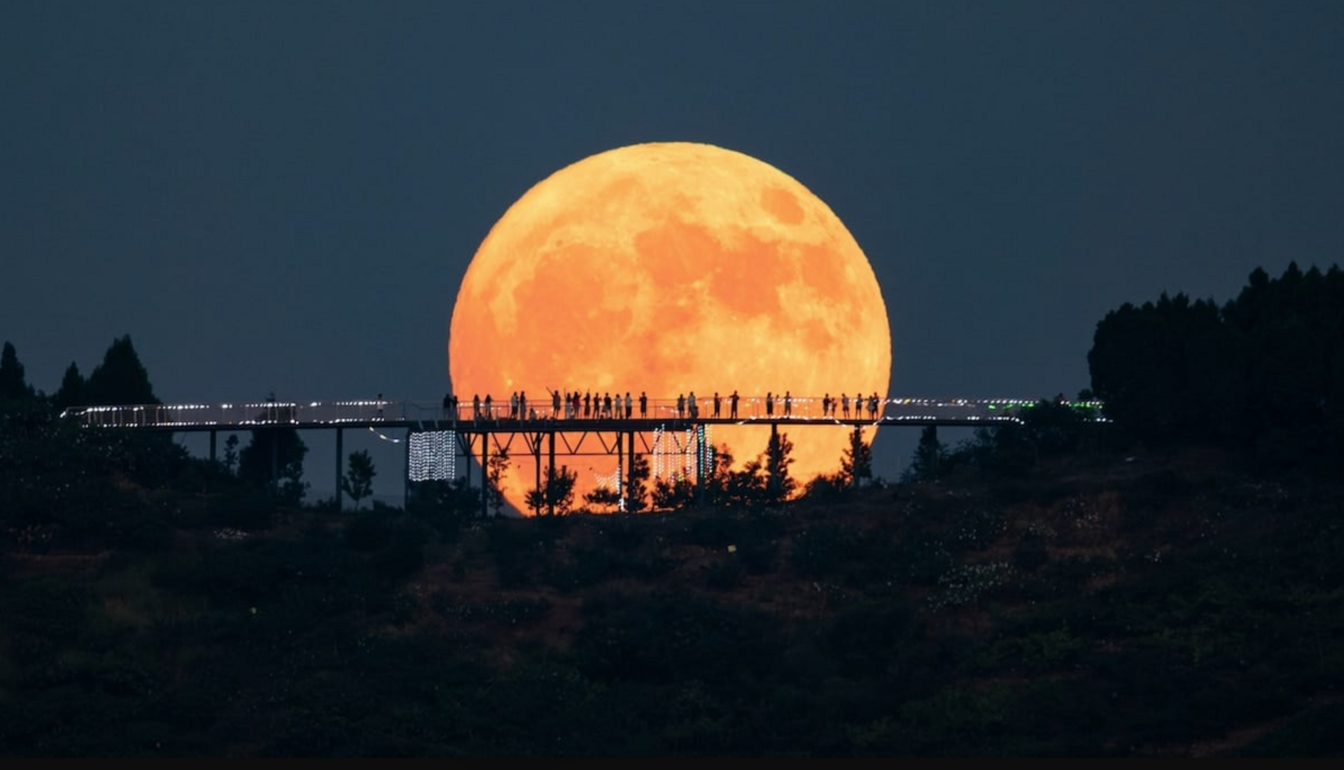 Biggest Moon since 2019. Look up.
