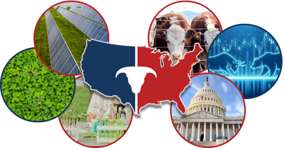 CATTLEUSA DRIVE - Tuesday, November 4th