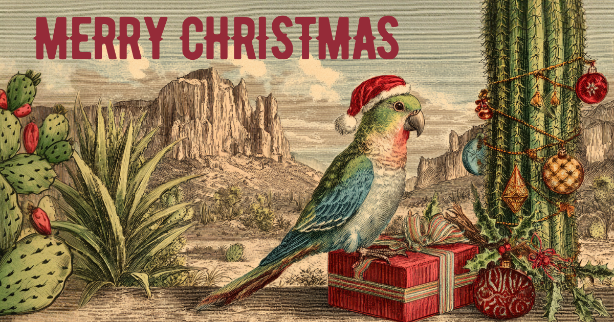 Merry Christmas 🎄