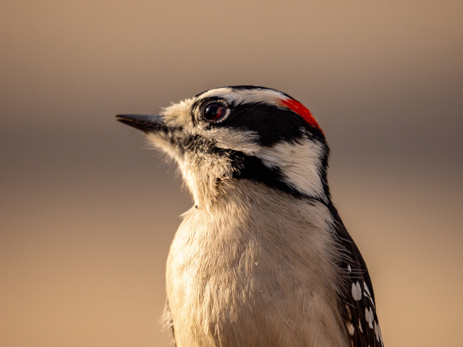 there's no one in the lighthouse