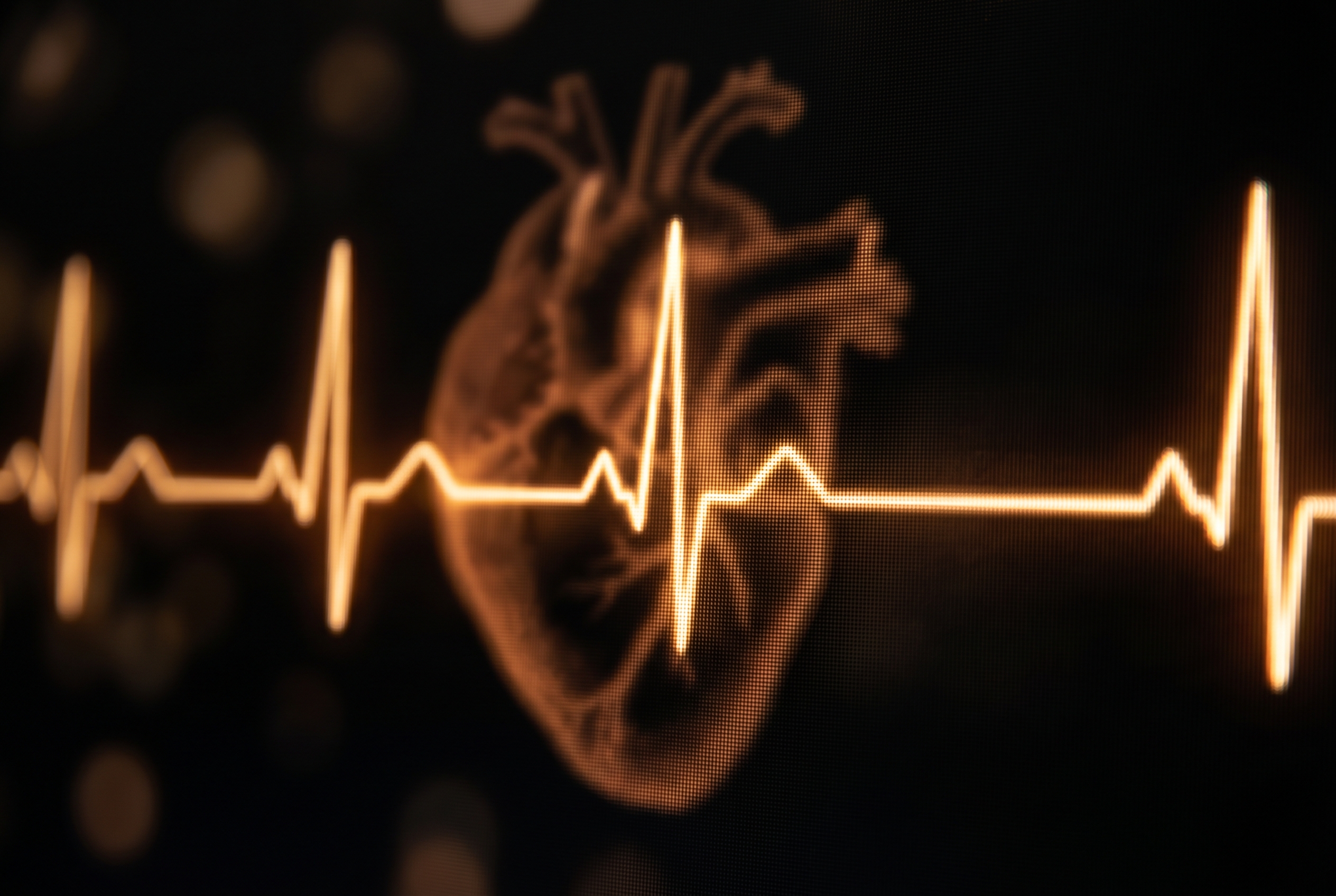 The Wellness Brew - Issue 06