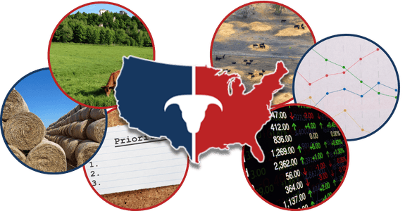 CATTLEUSA DRIVE - Wednesday, March 4th