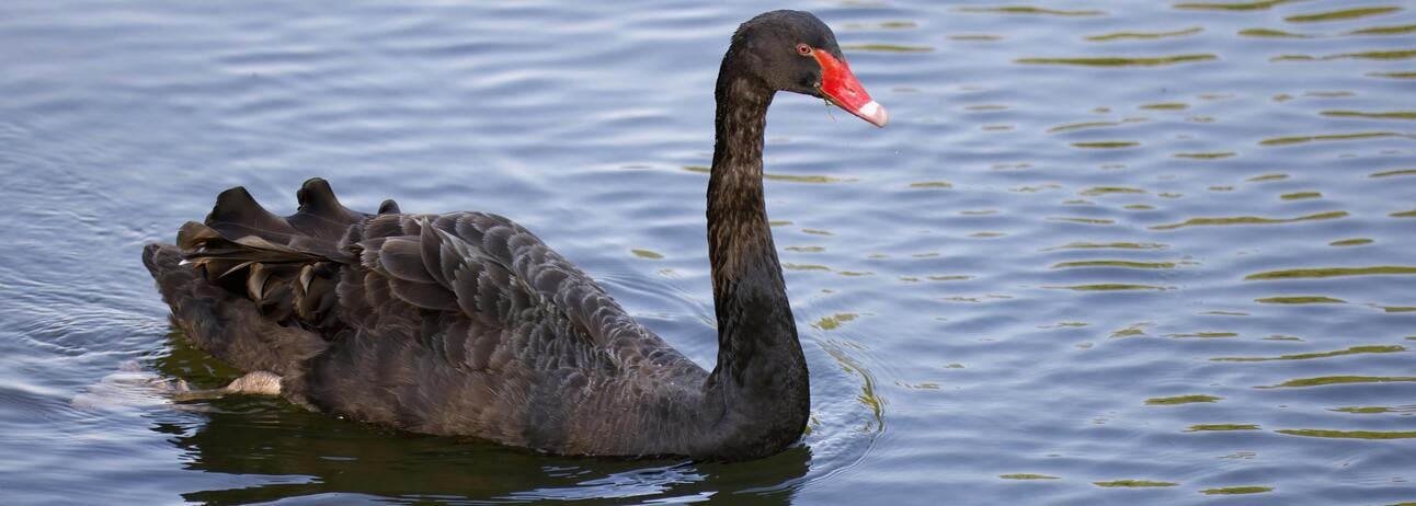 Metaphors make your story relatable