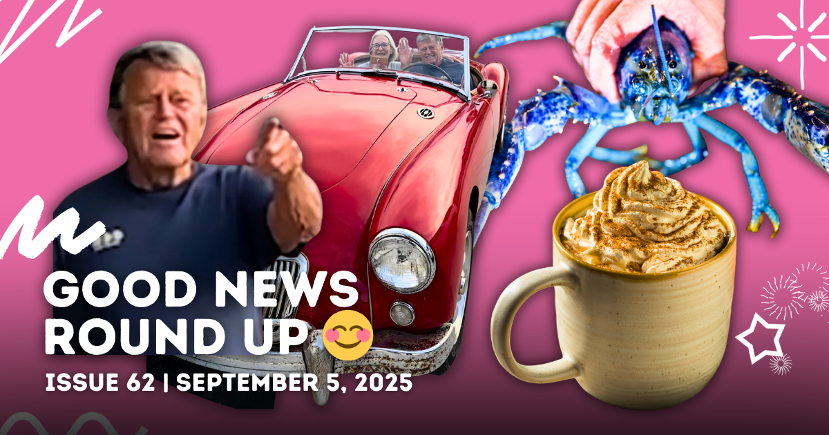 Perfect with your pumpkin spice latte ☕