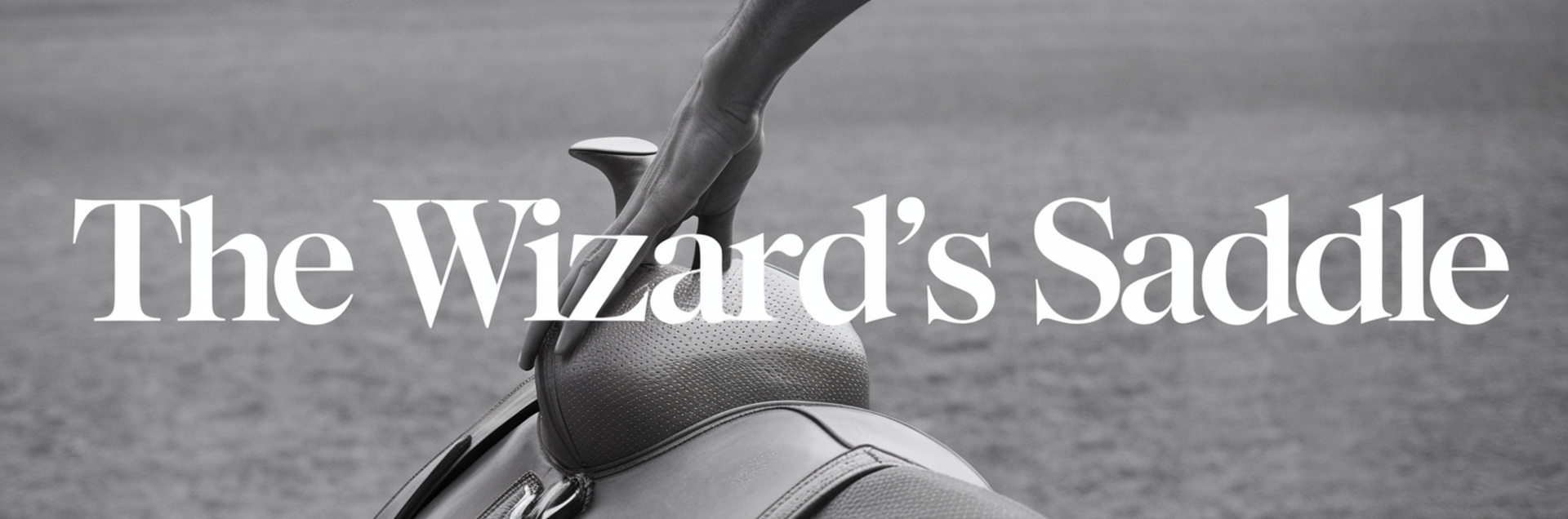 The Wizard's Saddle