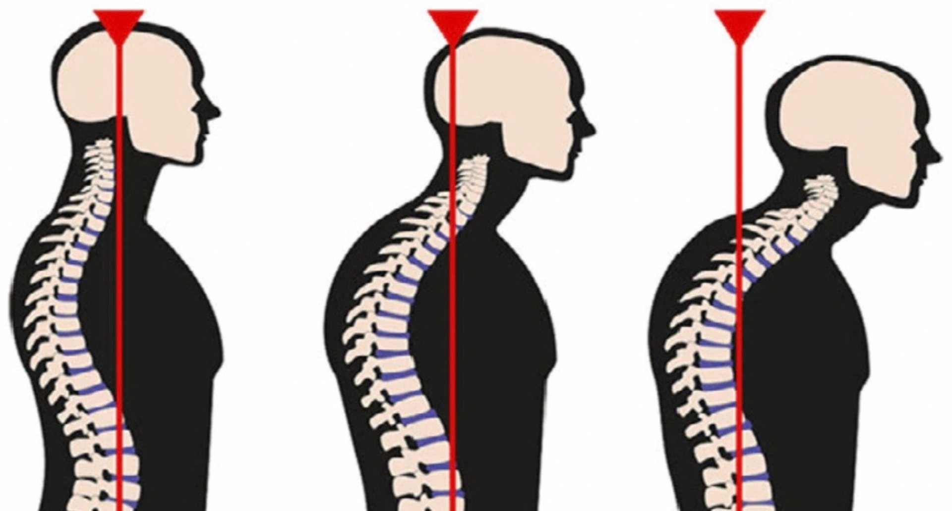 Yes, You Are Getting Shorter.