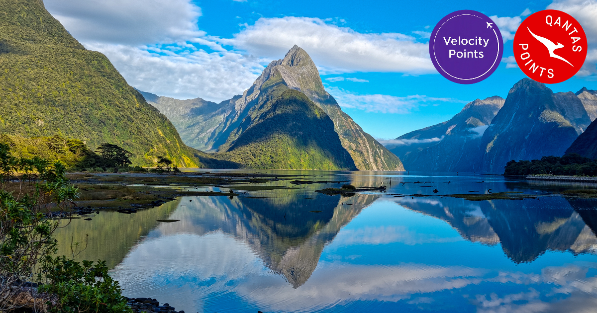 Fly All Cabins to New Zealand