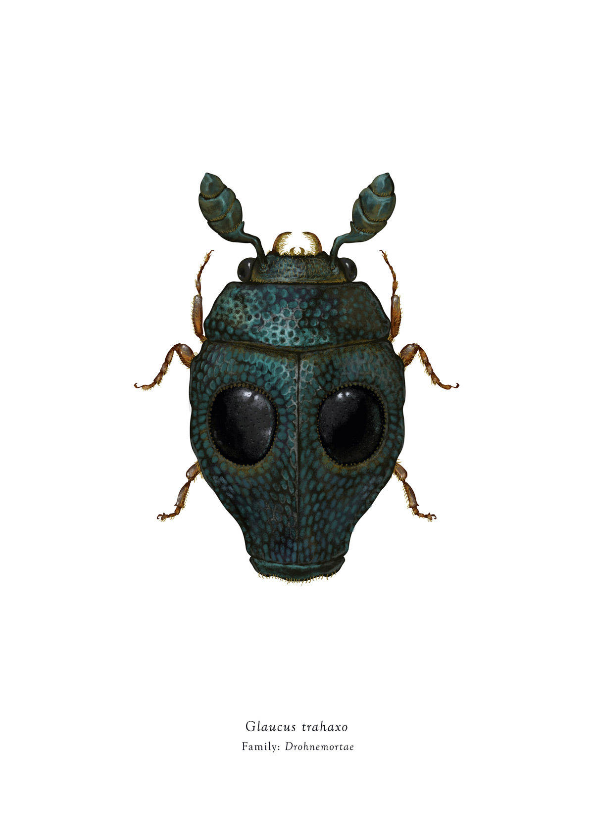 Delightful Star Wars Bugs by Richard Wilkinson