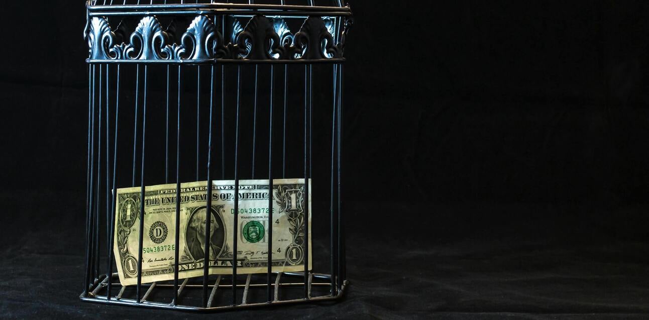 La era de la Muskocracia