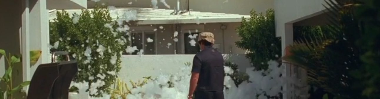 👍 In Pursuit of Happiness, Every Single Day