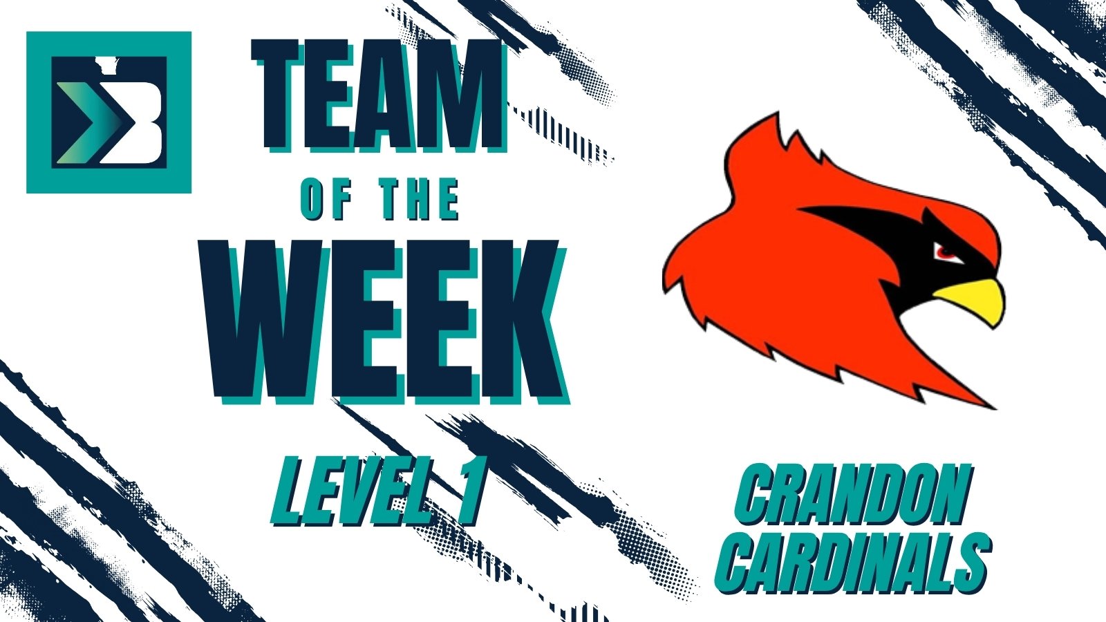 Level 1 Bound Wisconsin Football Team of the Week: Crandon Cardinals