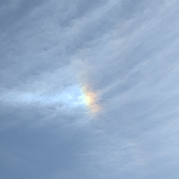 Accumulation, Devotion, and the Courage to Rest