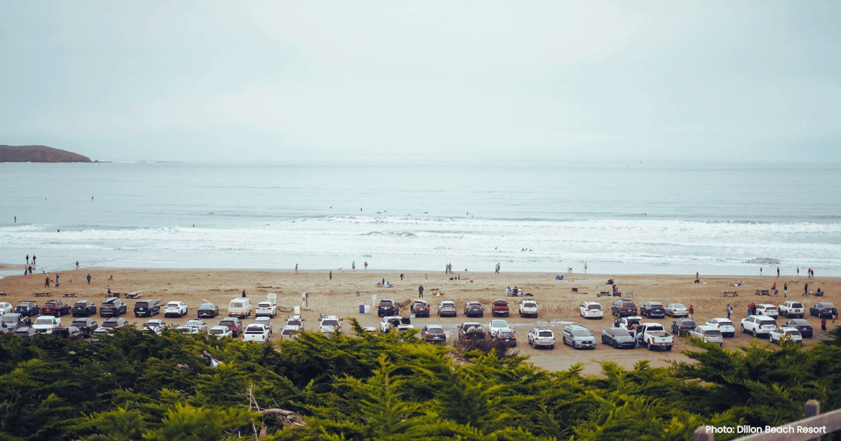Off-leash paradise at Dillon Beach 