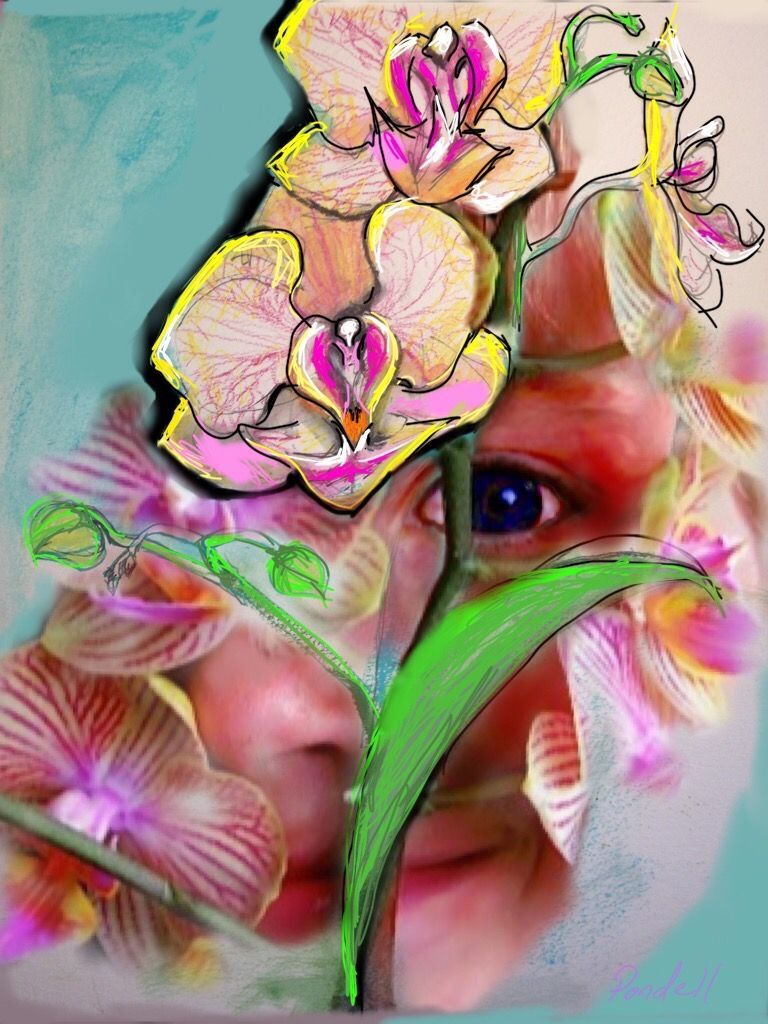 "Hope" is the thing with feathers–