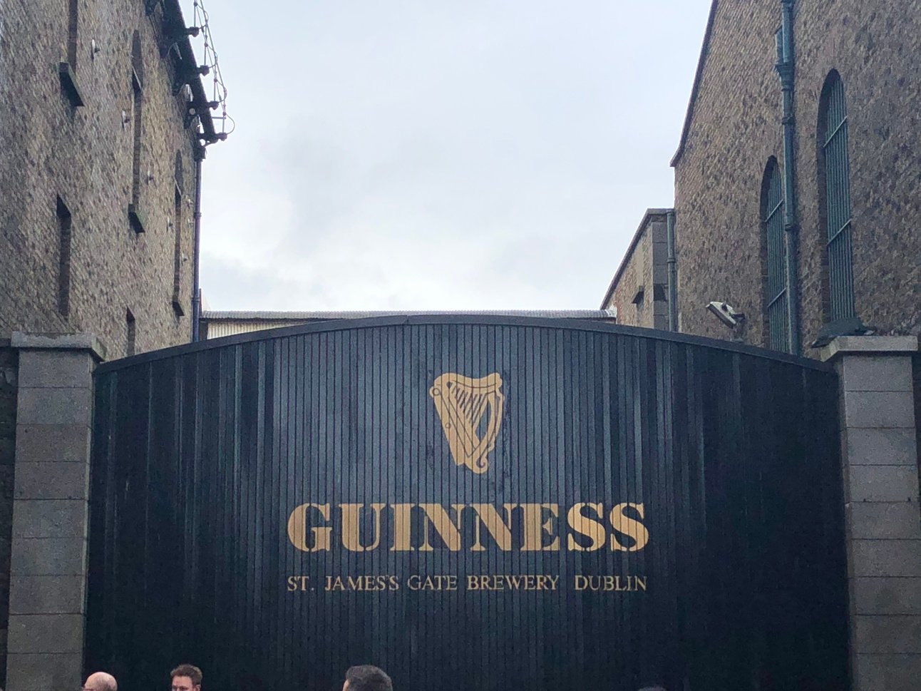 🪵Are drunk words sober thoughts?