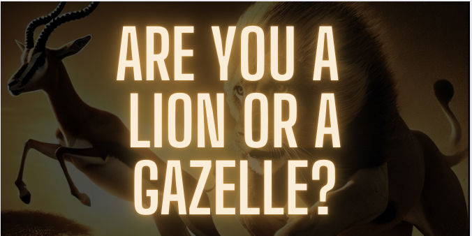 🏆 Are you a Lion or a Gazelle?
