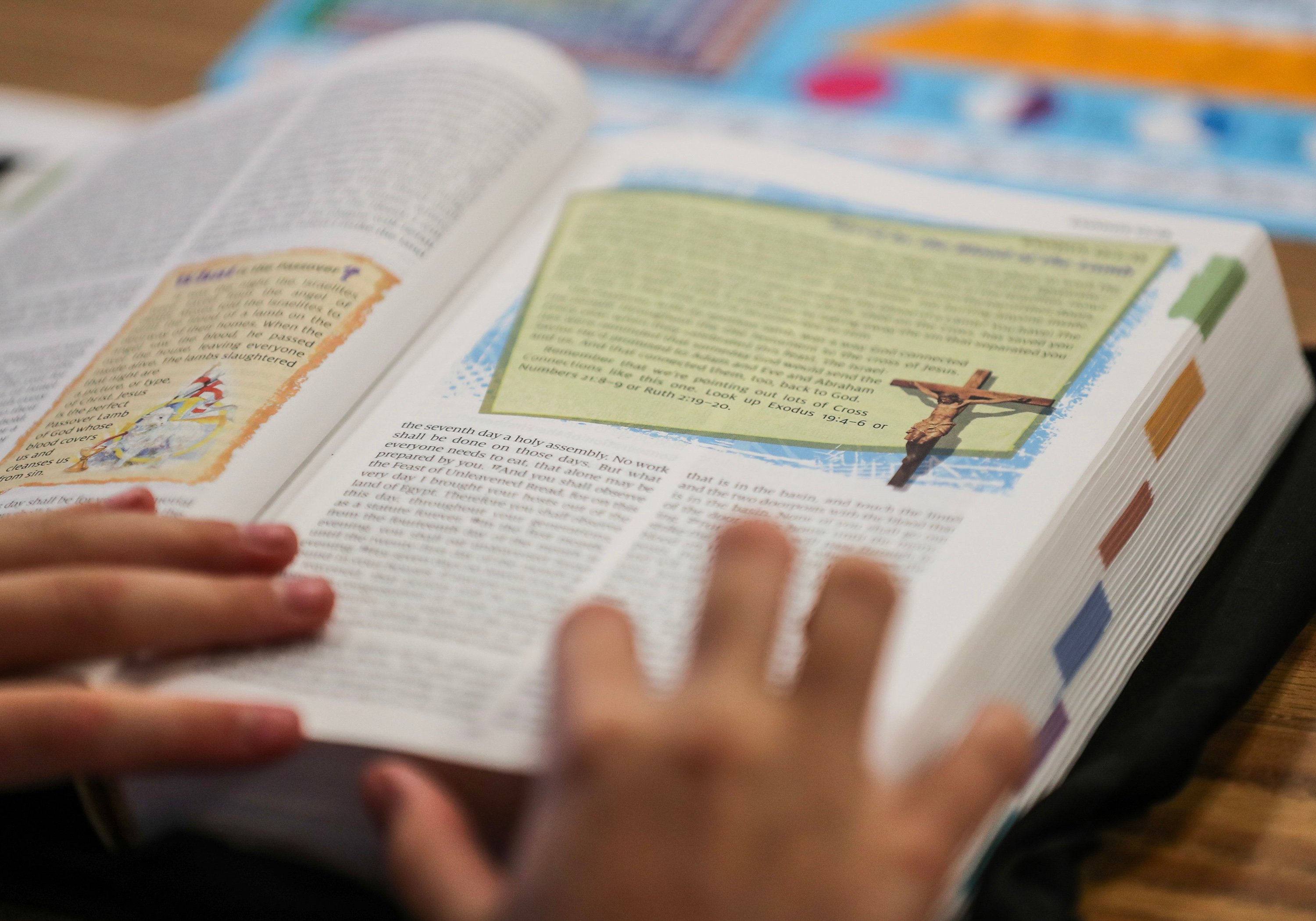 ‘The dog that ate the homework’