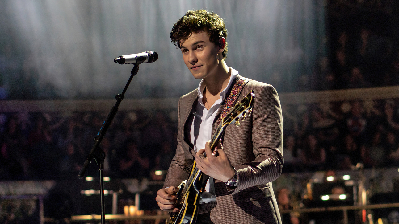 Shawn Mendes Opens Up About His Sexuality in Emotional Concert Moment