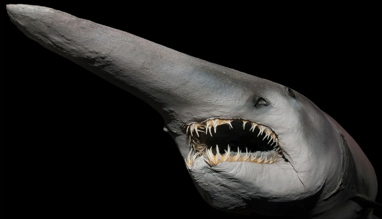 The water goblin, countering AI health advice