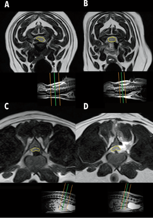 Can we trust surgeons impression?