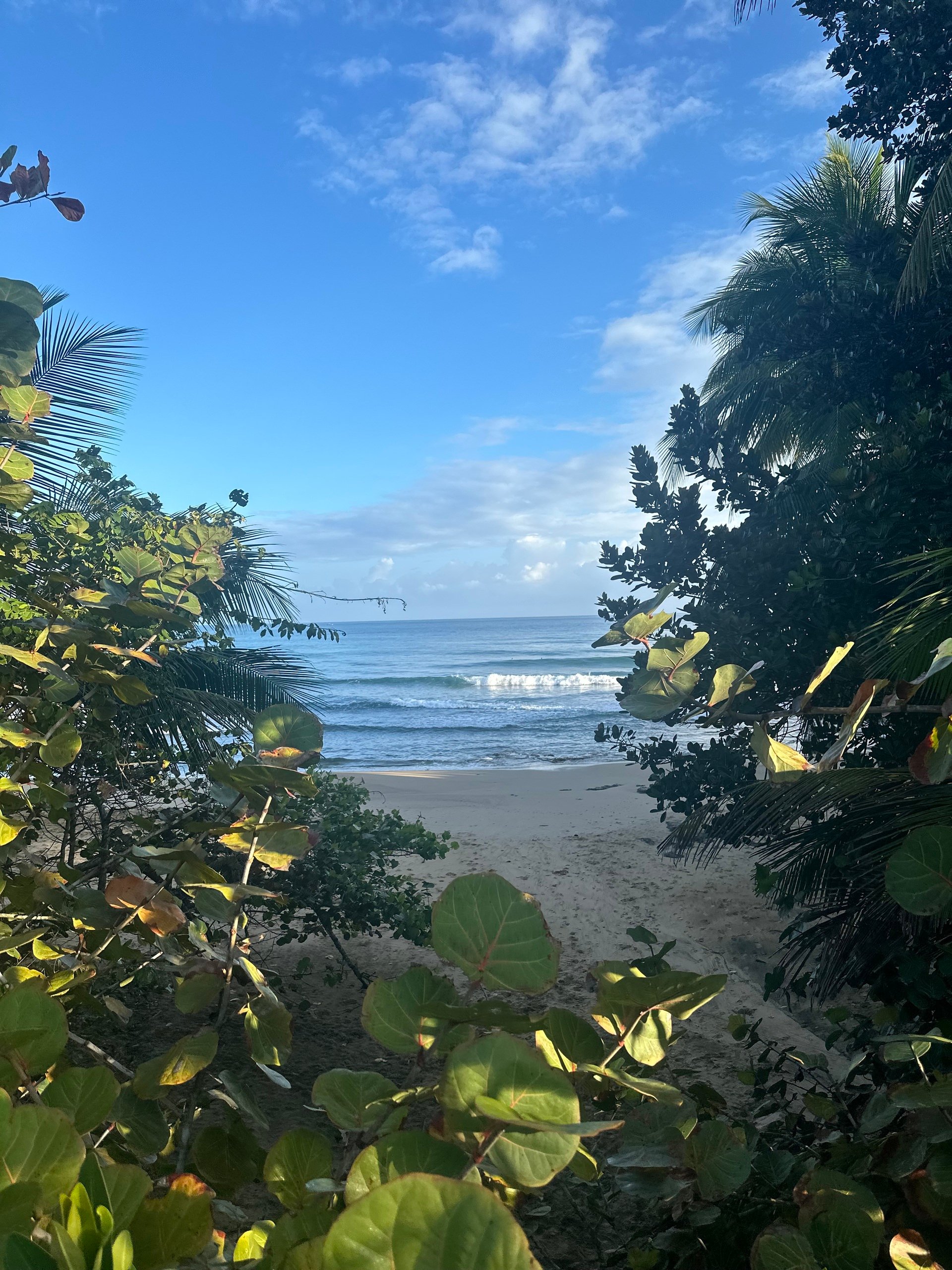 Wipeouts & Resilience