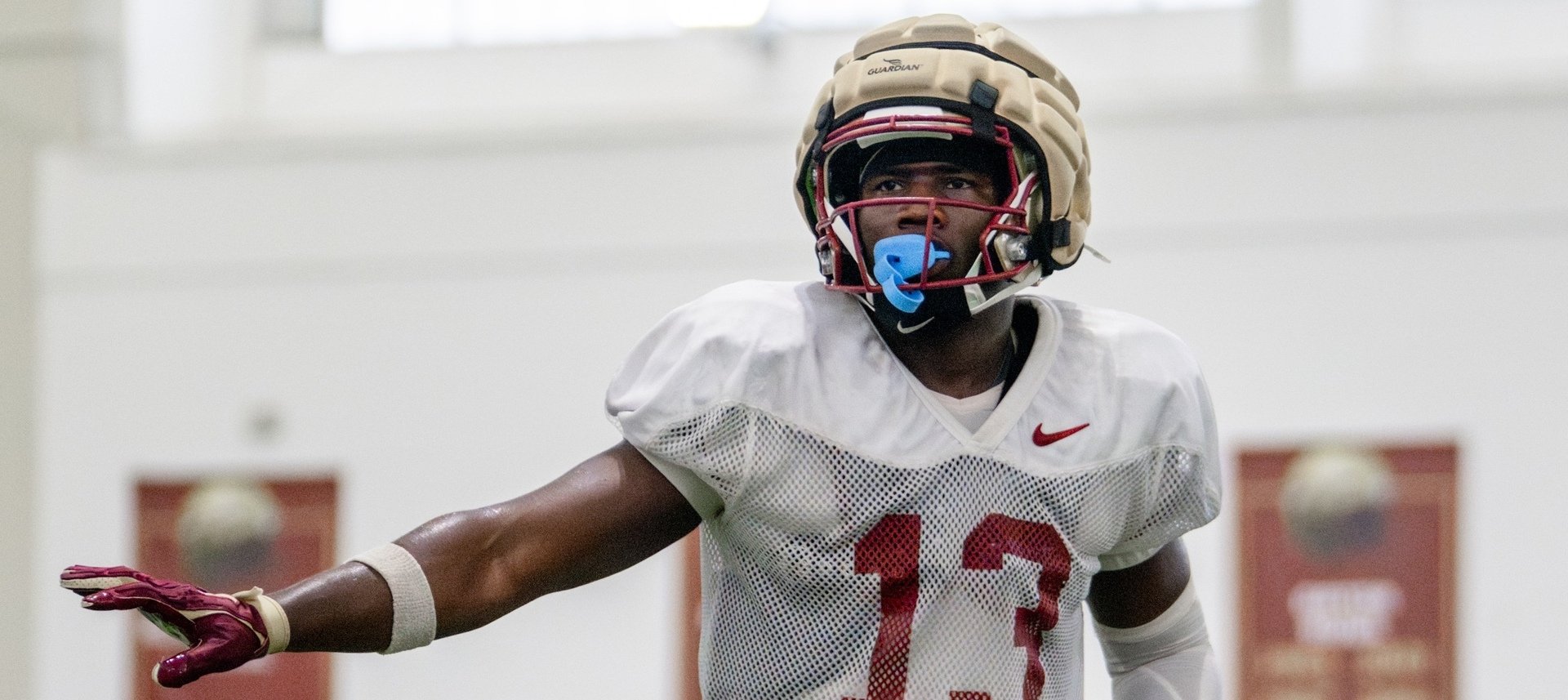 FSU Preseason Preview: Tight End 