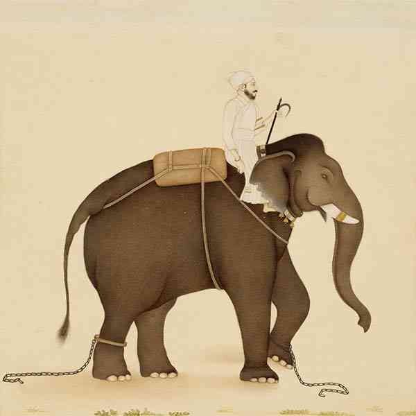 Dual-System Theory: Elephant and the Rider or System 1 vs System 2