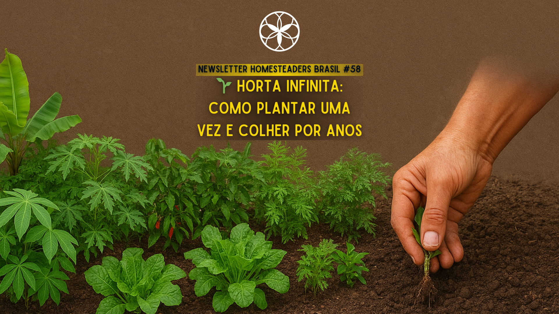 Homesteaders Brasil #58 | 🌱 Horta infinita: como plantar uma vez e colher por anos